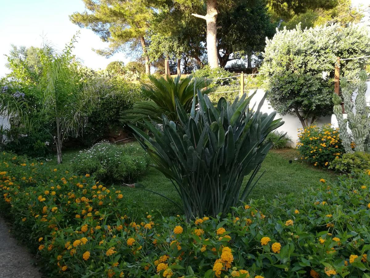 Bed and Breakfast Bianco Sale Trapani Рильево Экстерьер фото